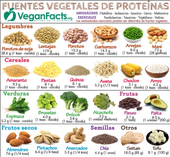 proteínas veganas